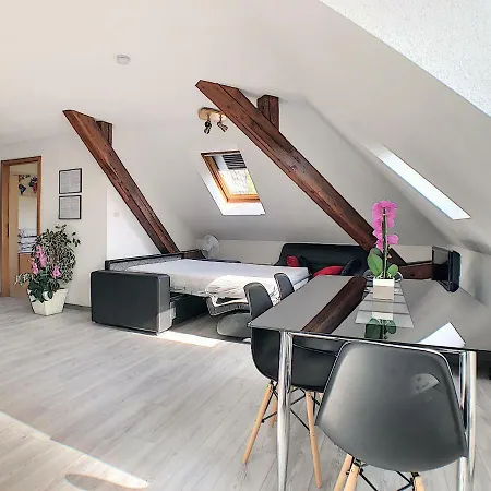 Apartment Agreable A Deux Pas De La Gare Colmar
